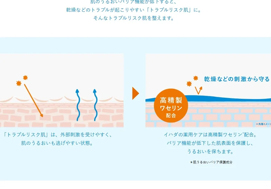 皮膚科学研究の視点から製品設計を分かりやすく図解で伝えるとともに、医師監修のスキンケア情報サイト「医肌研究所」やサステナビリティ活動を紹介。
