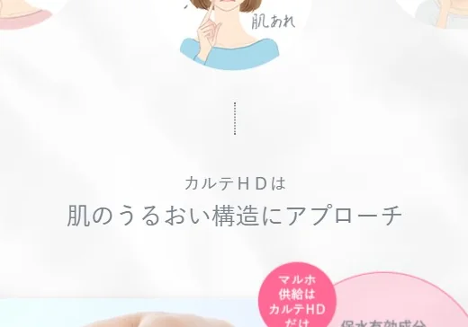 ブランド説明の欄で、乾燥で肌がカサつく、肌あれをくり返すといった悩みを絵で示している。
